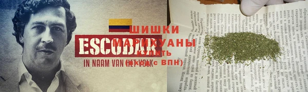 прущие крисы Гусиноозёрск