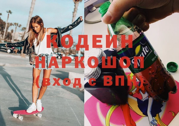 индика Гусев