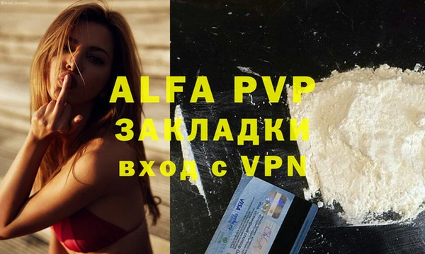 PSILOCYBIN Дмитриев