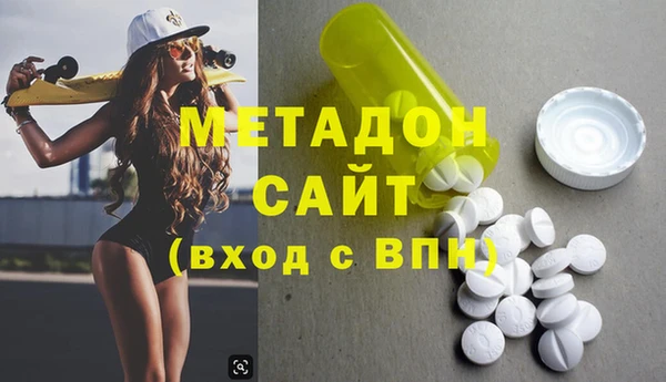 индика Гусев
