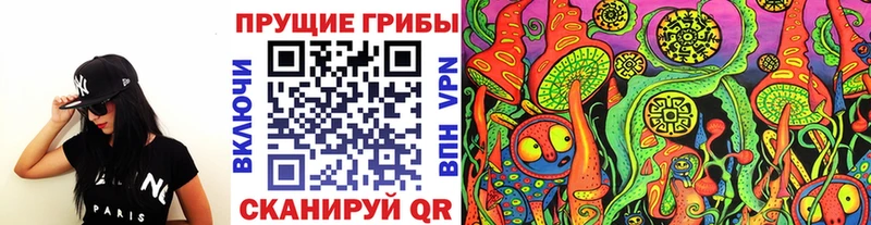 Галлюциногенные грибы Psilocybe  Егорьевск 