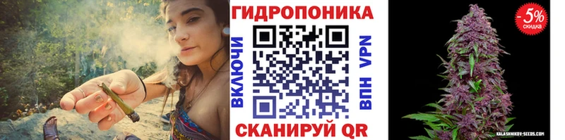 Шишки марихуана White Widow  нарко площадка как зайти  Егорьевск 